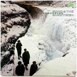 Echo & The Bunnymen 1983 24.0027-1 Porcupine Begagnat LP