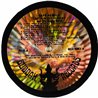 Captain Beefheart And His Magic Band LP Safe As Milk  kansi VG levy EX- Käytetty LP