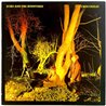 Echo & The Bunnymen 1980 KODE 1 Crocodiles Begagnat LP