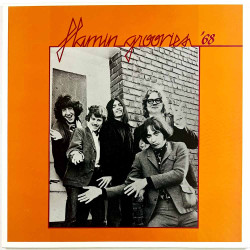 Flamin Groovies 1984 EVA 12044 - MONO Studio '68 Begagnat LP
