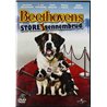 DVD - Elokuva DVD Beethovens store gennembrud eli kuudes  kansi EX levy EX- Käytetty DVD