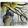 Raappana CD Päivä on nuori  kansi EX levy EX Käytetty CD