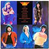 Aerosmith vinyl LP Rock in hard place  kansi EX- levy EX Käytetty LP