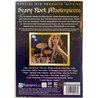 DVD - Thin Lizzy, Heep, Purple, Saxon ym. DVD Heavy rock masterpieces  kansi EX levy EX Käytetty DVD