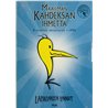 DVD - Lapinlahden Linnut DVD Maailman kahdeksan ihmettä 8-osainen 2DVD  kansi EX levy EX Käytetty DVD