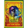 DVD - Santana DVD Corazon: Live from Mexico  kansi EX levy EX Käytetty DVD