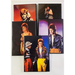 DVD - Bowie David DVD Rehearsals For The 1980 Floor Show 5DVD  kansi EX levy EX Käytetty DVD