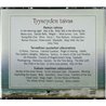 Mielenrauhaa musiikista 2004 B03005 Tyyneyden taivas Used CD