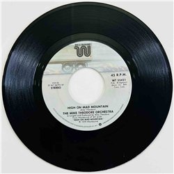Mike Theodore Orchestra 1979 WT 55421 Disco People 7” single