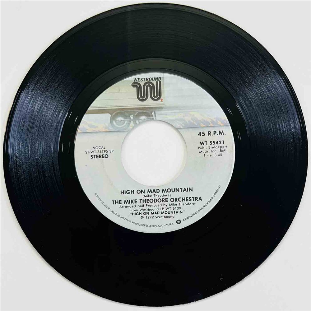 Mike Theodore Orchestra 1979 WT 55421 Disco People 7” single