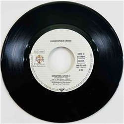 Christopher Cross 1981 WB 17847 Arthur's Theme (Best Taht You Can Do) 7” single