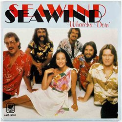 Seawind 1980 AMS 9101 Whatcha Doin' 7” single