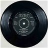 Kids From Fame 1982 RCA 254 Hi-Fidelity 7” single