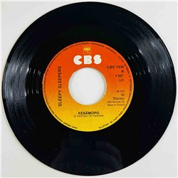 Sleepy Sleepers 1979 CBS 7430 Tarzan 7” single
