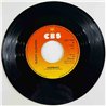 Sleepy Sleepers 1979 CBS 7430 Tarzan 7” single