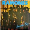 Ramones vinyl LP Animal Boy  kansi EX levy EX Käytetty LP