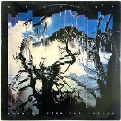 Bauhaus vinyl LP Burning from he inside  kansi VG levy EX Käytetty LP
