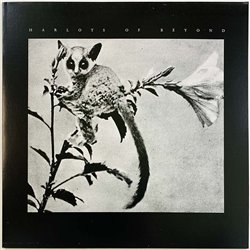Harlots Of Beyond vinyl LP Winner  kansi EX levy EX Käytetty LP