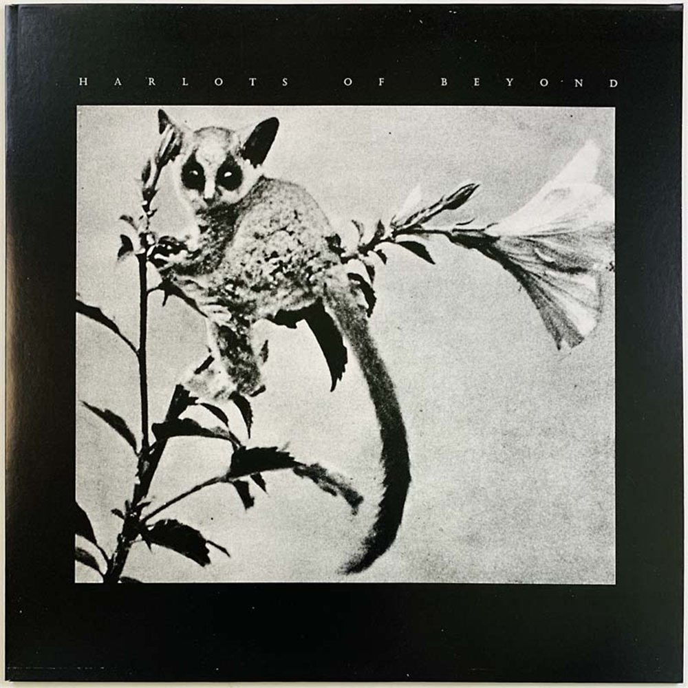 Harlots Of Beyond vinyl LP Winner  kansi EX levy EX Käytetty LP