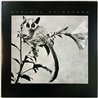 Harlots Of Beyond vinyl LP Winner  kansi EX levy EX Käytetty LP