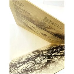 Poijärvi Ninni vinyl LP Tie  kansi EX levy EX- Käytetty LP