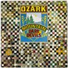 Ozark Mountain Daredevils 1973 SP-4411 Ozark Mountain Daredevils Begagnat LP