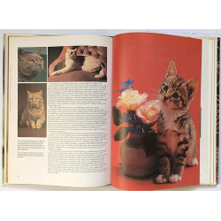 Everyone’s Book of CATS : Angela Sayer - Used book