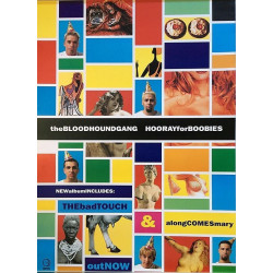 Bloodhound Gang: Hooray fro Boobies : Promojuliste 50cm x 70cm - Used Poster