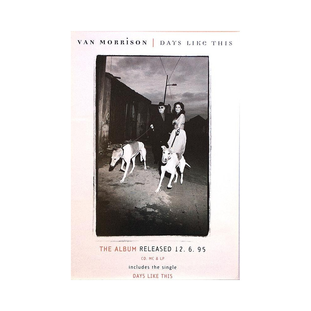 Morrison Van: Days Like This : Promojuliste 47cm x 71cm - JULISTE