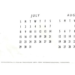 L’Enfant: 58cm x 88cm - Used Poster 1990 with same calendar as 2018