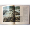 Virginia Way : Wolfgang Roth text by Guy Friddell - Used book
