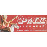 Pink: Funhouse : Promojuliste 70cm x 25cm - begagnat original promo poster
