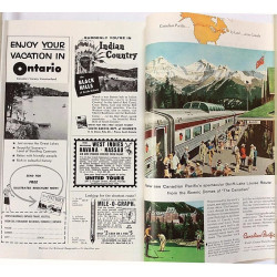 National Geographic Magazine : Volume CXIII number five - Used book