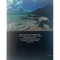 Shells Treasures from the Sea : James A. Cox - Used book