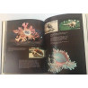 Shells Treasures from the Sea : James A. Cox - Used book
