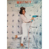 Houston Whitney: Greatest Hits : Promojuliste 47cm x 68cm - begagnat original promo poster