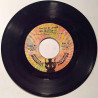 1910 Fruitgum Co. : Mr. Jensen / May I take a giant step - second hand single