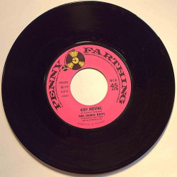 James Boys : Keep Moving / Sally Dont You Run - second hand single