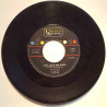Jay and the Americans : I’ll remember you / Let’s lock the door - begagnad singelskiva