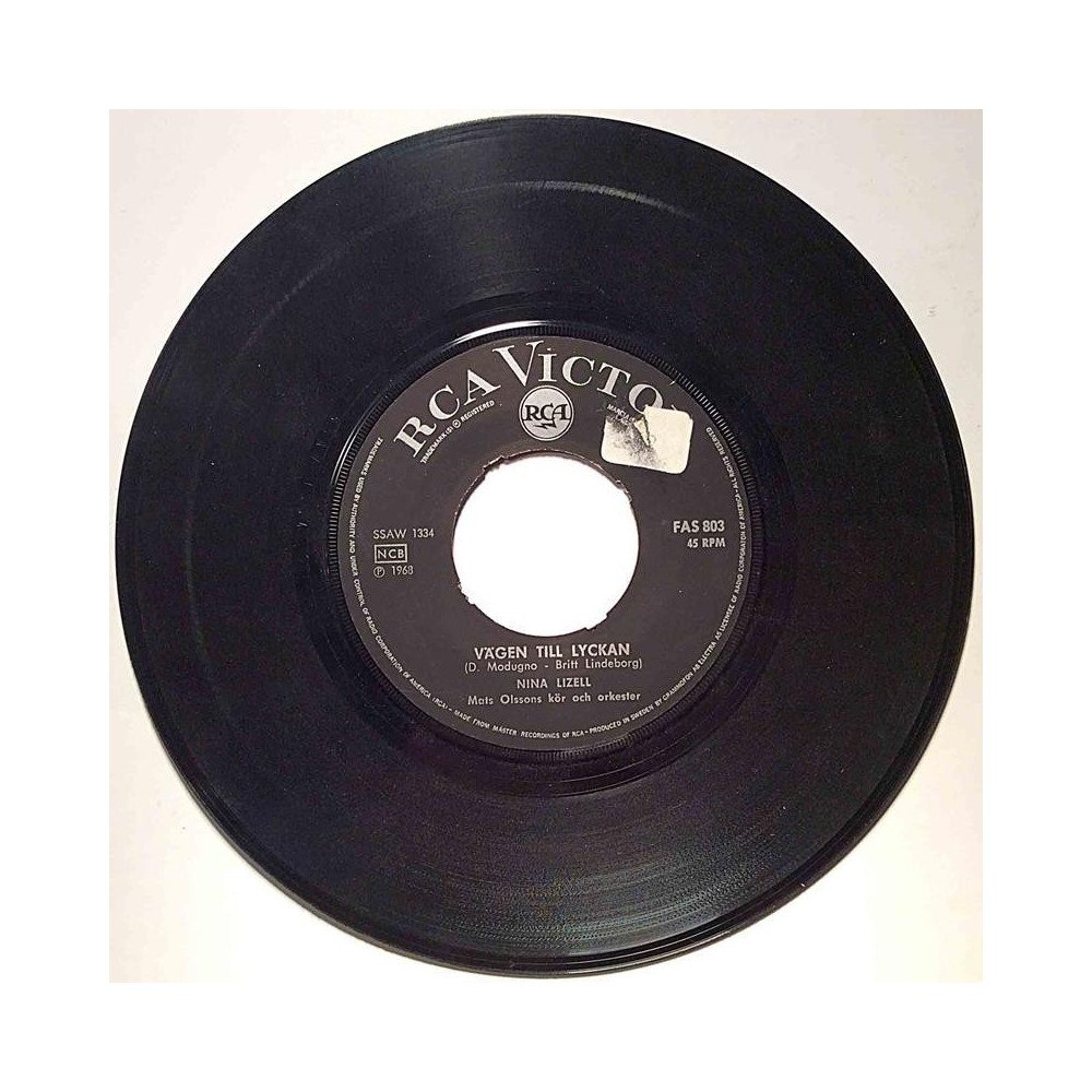Lizell Nina : Vägen till lyckan / Timmarna går - second hand single
