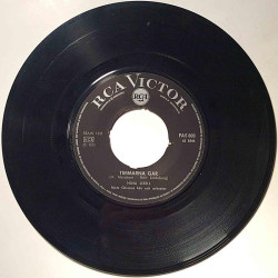 Lizell Nina : Vägen till lyckan / Timmarna går - second hand single