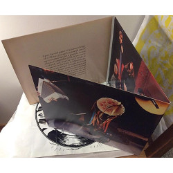 Smith Patti : twelve 2LP - Begagnat LP