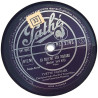 Horner Yvette : Au loin dans la plaine / La colline aux oiseaux - shellac 78 rpm record