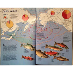 National Geographic Vol.178, NO.1 : July 1990 Florida Watershed - Något använd bok