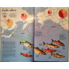 National Geographic Vol.178, NO.1 : July 1990 Florida Watershed - Något använd bok