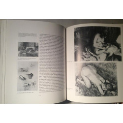 Degas The Nudes : Richard Thompson - Used book