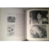 Degas The Nudes : Richard Thompson - Used book