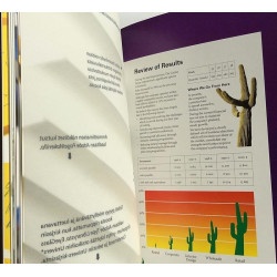 Adobe solutions : Ammattimaista grafiikkaa - Något använd bok