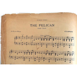 The Pelican : Pierre dAmor, Hewit Hayes - Sheet music