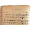 The Pelican : Pierre dAmor, Hewit Hayes - Sheet music